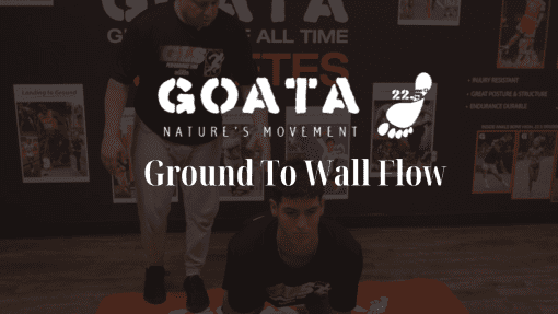 GOATA - Ground To Wall Flow