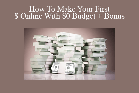 How To Make Your First $ Online With $0 Budget + Bonus