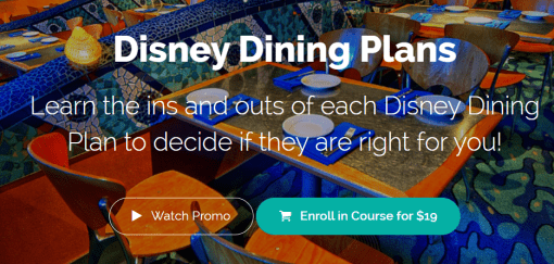 LJ Johnson - Disney Dining Plans