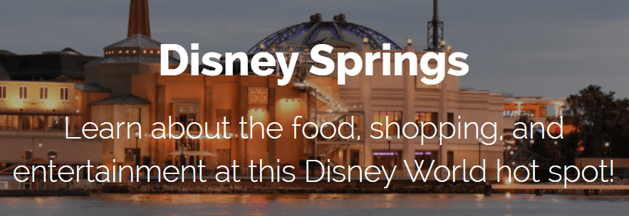 LJ Johnson - Disney Springs