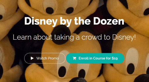 LJ Johnson - Disney by the Dozen