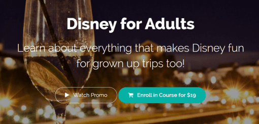 LJ Johnson - Disney for Adults