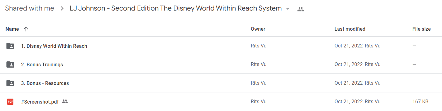 LJ Johnson - Second Edition The Disney World Within Reach System