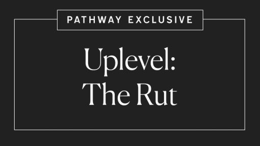 Lacy Phillips - Uplevel The Rut