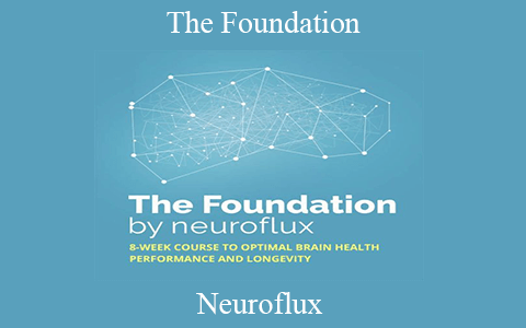 Neuroflux – The Foundation