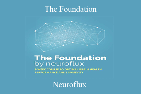 Neuroflux – The Foundation