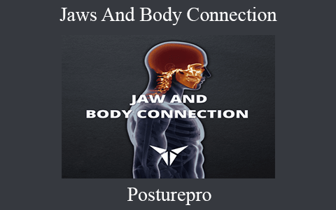 Posturepro – Jaws And Body Connection