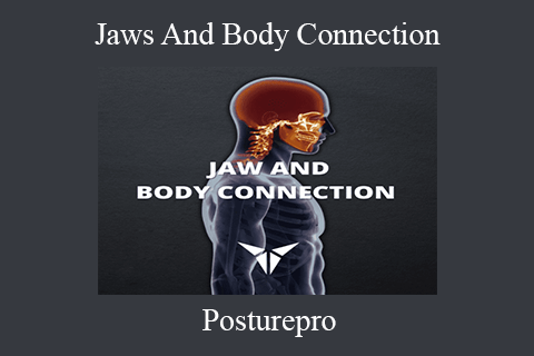 Posturepro – Jaws And Body Connection