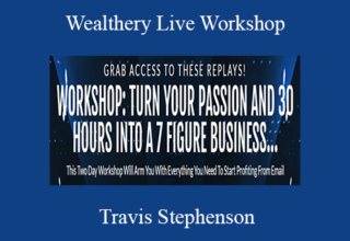 Travis Stephenson – Wealthery Live Workshop