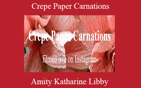 Amity Katharine Libby – Crepe Paper Carnations