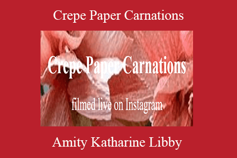 Amity Katharine Libby – Crepe Paper Carnations