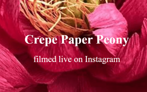 Amity Katharine Libby - Crepe Paper Peony