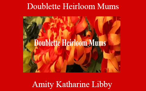 Amity Katharine Libby – Doublette Heirloom Mums