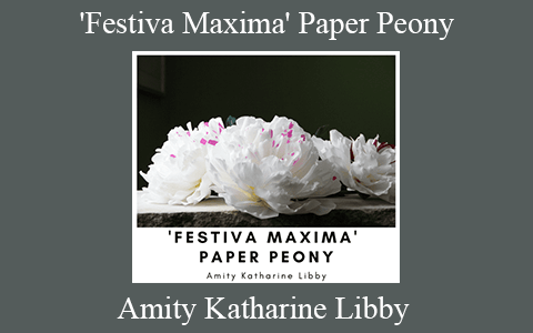 Amity Katharine Libby – ‘Festiva Maxima’ Paper Peony