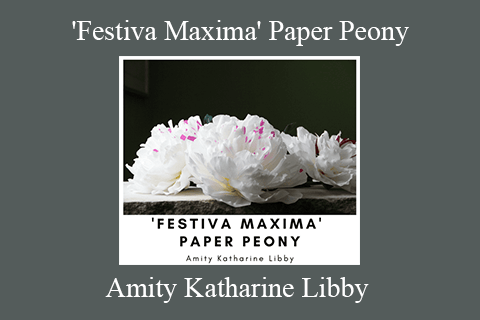 Amity Katharine Libby – ‘Festiva Maxima’ Paper Peony