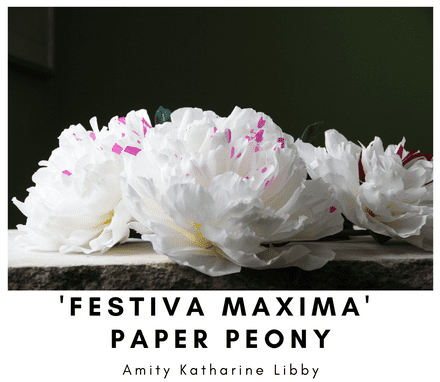 Amity Katharine Libby - 'Festiva Maxima ' Paper Peony