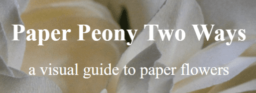 Amity Katharine Libby - Paper Peony Two Ways