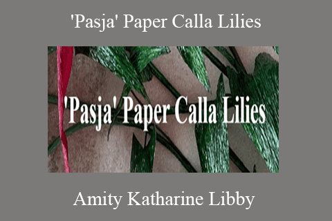 Amity Katharine Libby – ‘Pasja’ Paper Calla Lilies