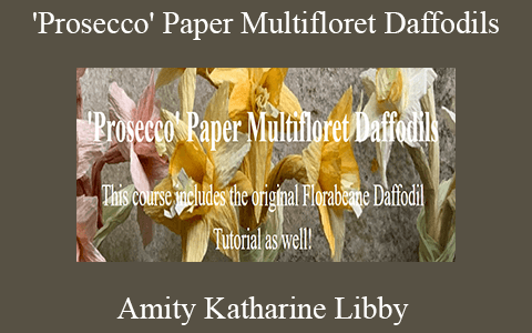 Amity Katharine Libby – ‘Prosecco’ Paper Multifloret Daffodils