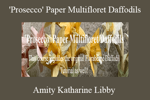 Amity Katharine Libby – ‘Prosecco’ Paper Multifloret Daffodils