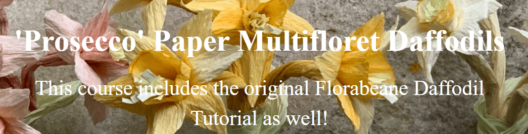 Amity Katharine Libby - 'Prosecco' Paper Multifloret Daffodils