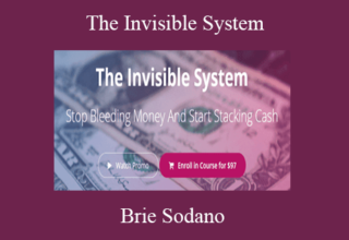 Brie Sodano – The Invisible System