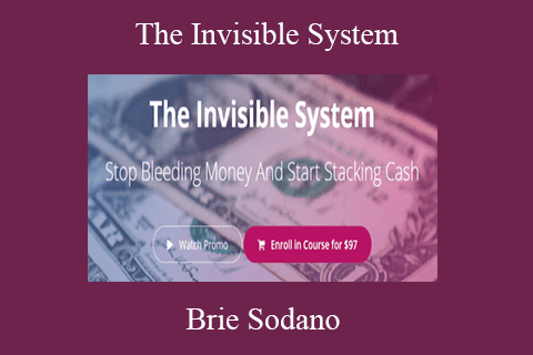 Brie Sodano – The Invisible System