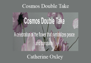 Catherine Oxley – Cosmos Double Take