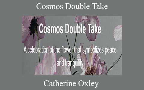 Catherine Oxley – Cosmos Double Take