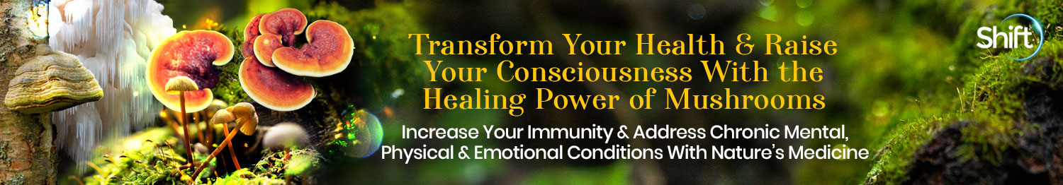 Christopher Hobbs - Transform Your Health & Raise Your Consciousness With the Healing Power of Mushrooms 2022