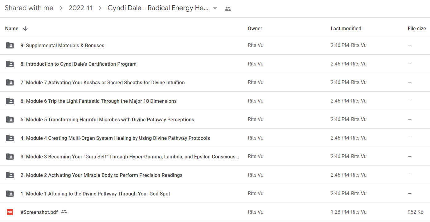 Cyndi Dale - Radical Energy Healing 2022