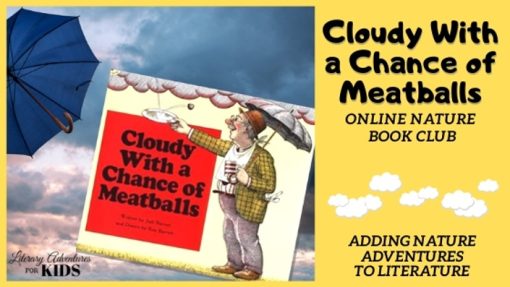 Dachelle McVey - Cloudy With A Chance of Meatballs Online Book Club ~ A Nature Book Club