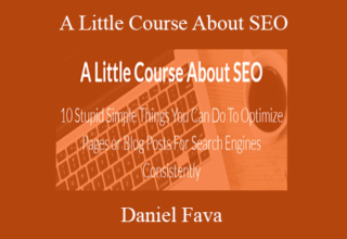 Daniel Fava – A Little Course About SEO