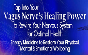 Dr. Melanie Smith - Tap Into Your Vagus Nerve’s Healing Power to Rewire Your Nervous System for Optimal Health 2022