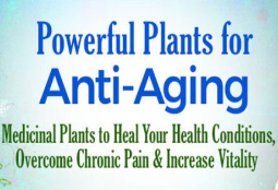 K. P. Khalsa - Powerful Plants for Anti-Aging 2022