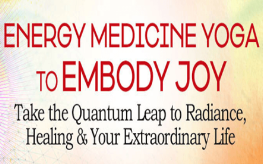 Lauren Walker - Energy Medicine Yoga to Embody Joy 2022