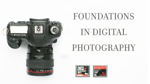 Nancy Ray - Foundations in Digital Photography