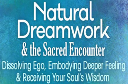 Rodger Kamenetz - Natural Dreamwork & the Sacred Encounter 2022