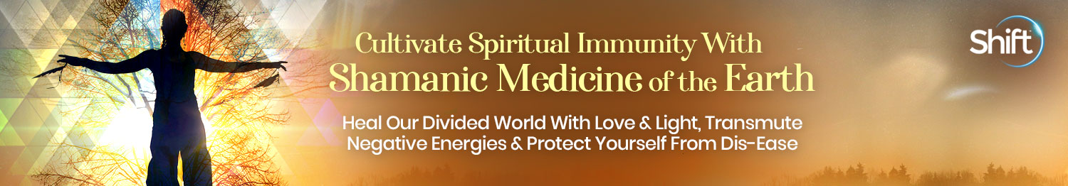 Sandra Ingerman - Cultivate Spiritual Immunity With Shamanic Medicine of the Earth 2022