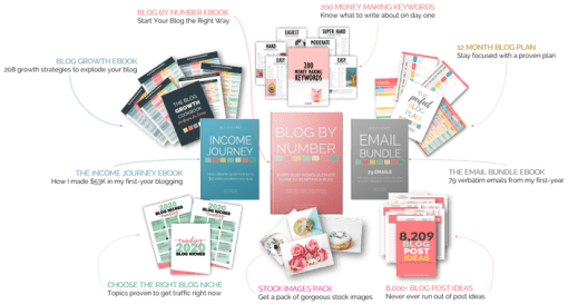 Suzi Whitford - Blog By Number Ebook + Bonuses