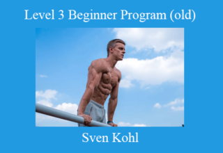 Sven Kohl – Level 3 Beginner Program (old)