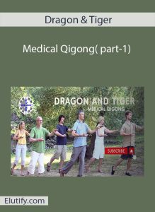  Dragon & Tiger Medical Qigong Part 1 course cover