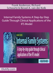 Internal Family Systems training with Frank Anderson, Richard Schwartz, and Bessel van der Kolk