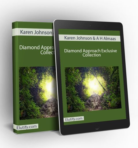 Diamond Approach Exclusive Collection training mockup