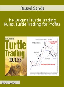 Russel Sands Original Turtle Trading Rules course cover
